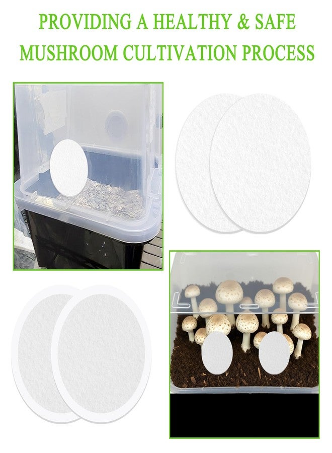 com.loghohu ٢٤ قطعة من أقراص الترشيح اللاصقة أحادية الأنبوب مقاس ٢٫٥ بوصة، بسماكة ٢ مم، مصنوعة من ورق ترشيح صناعي، تُستخدم في مستلزمات زراعة الفطر في أحواض أحادية الأنبوب. وسادات ترشيح بديلة متوافقة مع أحواض أحادية الأنبوب. - Image 5